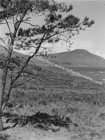 PANORAMA FROM BALLYCROY ROAD